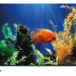 Sinotec 55 inch  G1U Series UHD LED Google Smart TV