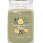 Yankee Candle Sage & Citrus Medium Jar