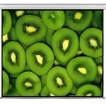 Esquire Electric Projector Screen 300 X 169